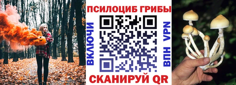 Псилоцибиновые грибы прущие грибы  Нея 